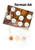 AUTUMN - vocabulary, speaking and games PACK